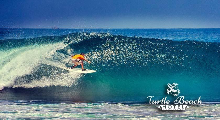 Ujunggenteng Turtle Beach Hotel الغرفة الصورة